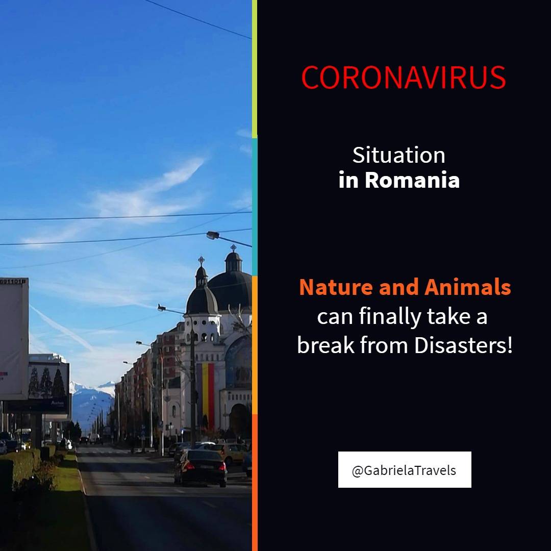 Coronavirus situation in Romania: Nature and Animals can finally take a break from disasters!