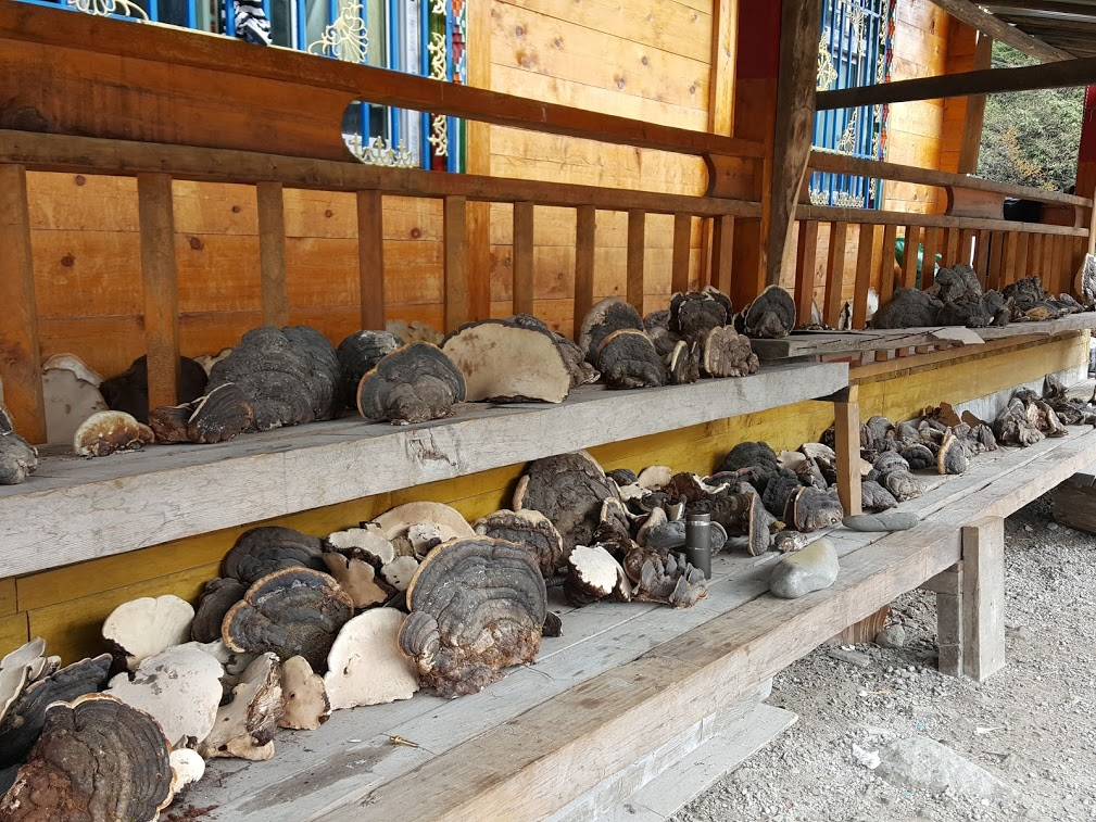 Road trip to Tibet , Day 9---Hell?