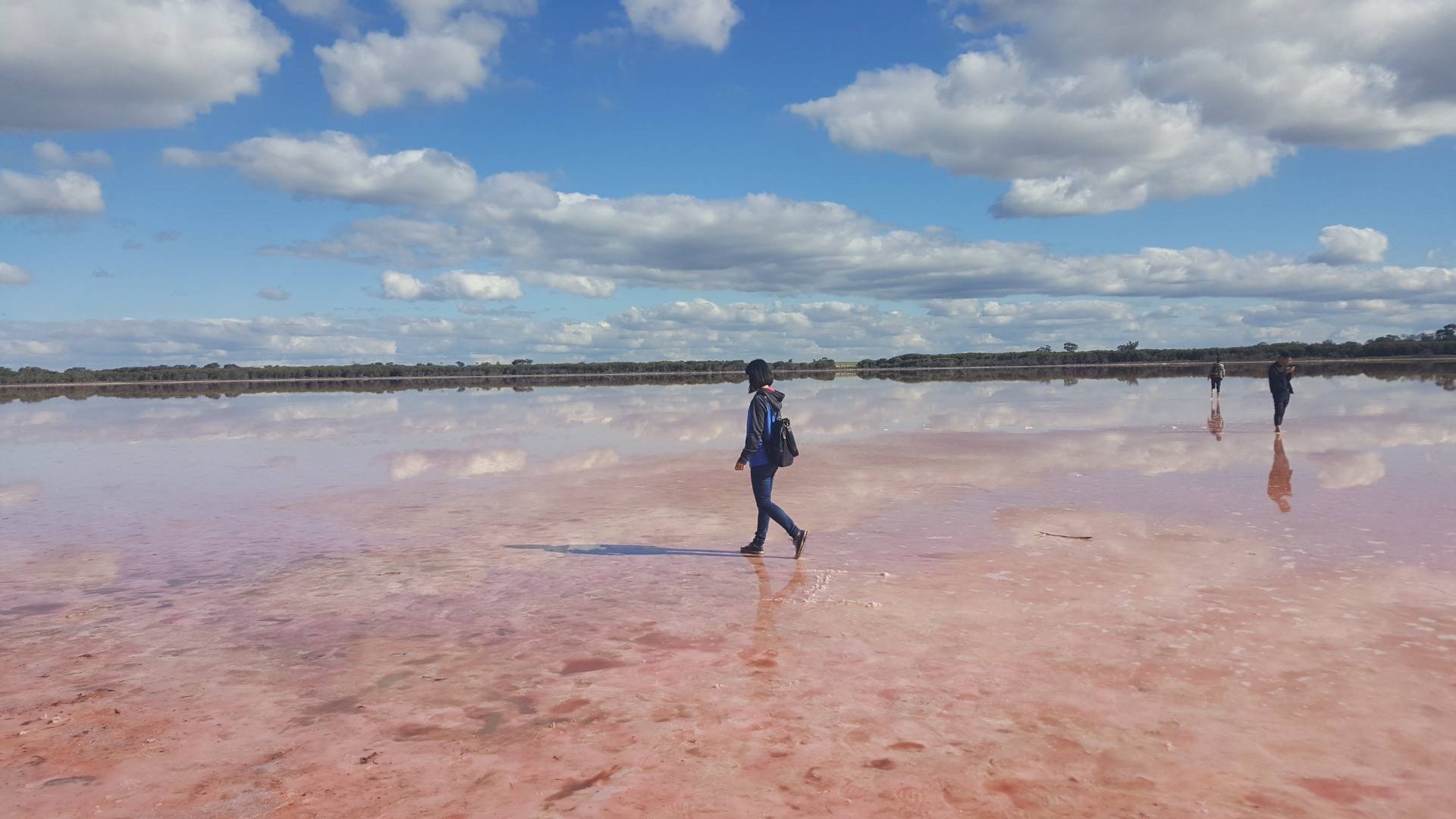 Pink Lake which available to walk on