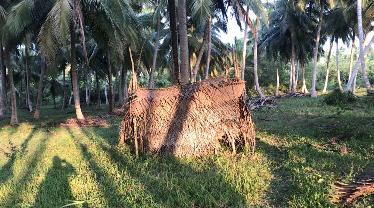 Sri Lanka #4 take shower in a open bathroom