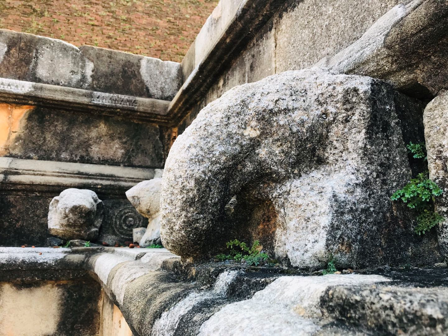 Sri Lanka #7 The Ancient Town Anuradhapura