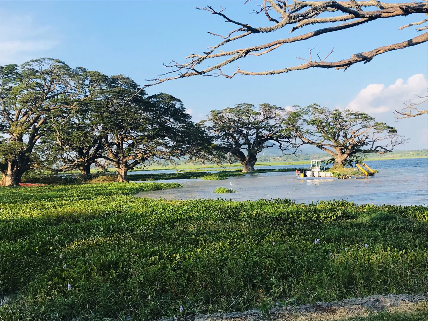 Be careful of trickster in Tissamaharama, Sri Lanka