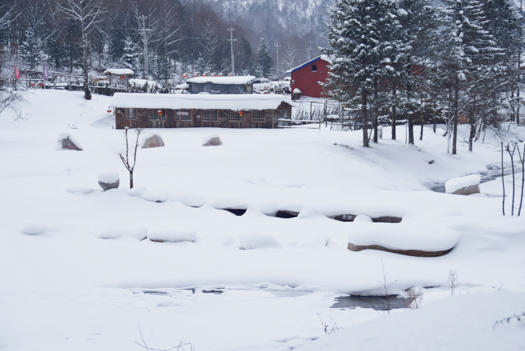 Snow Valley , a snow paradise