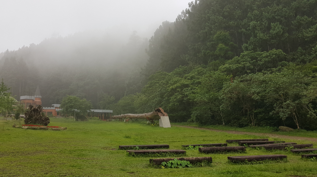 Seems walk into the forest of Totoro, Xitou Forest Park