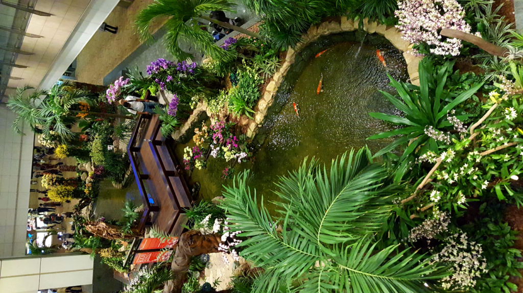 Singapore Airport, an airport that you won’t get bored even stay whole day