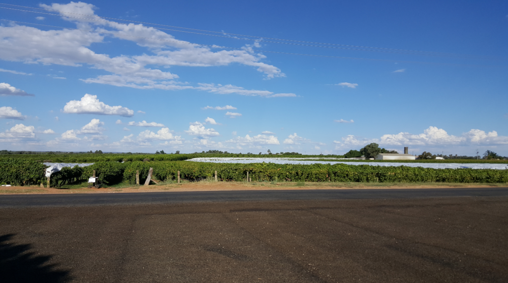 Finally arrived my first home in Australia, and went to work on the first day!