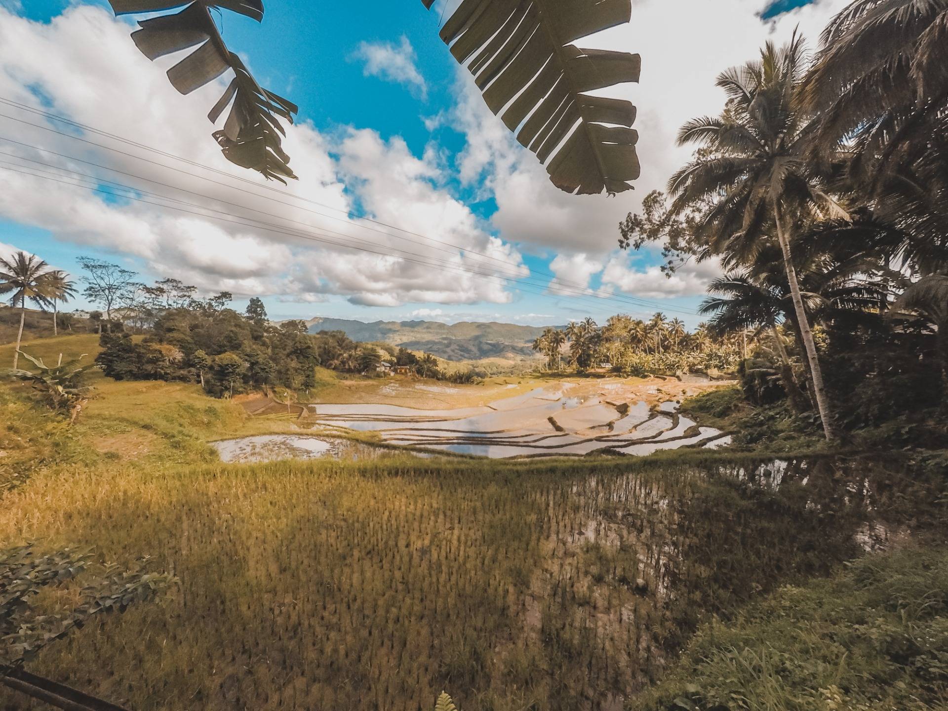 shot with GoPro Hero 5 (Dalaguete Mountain Area Rice Terraces) photography by me