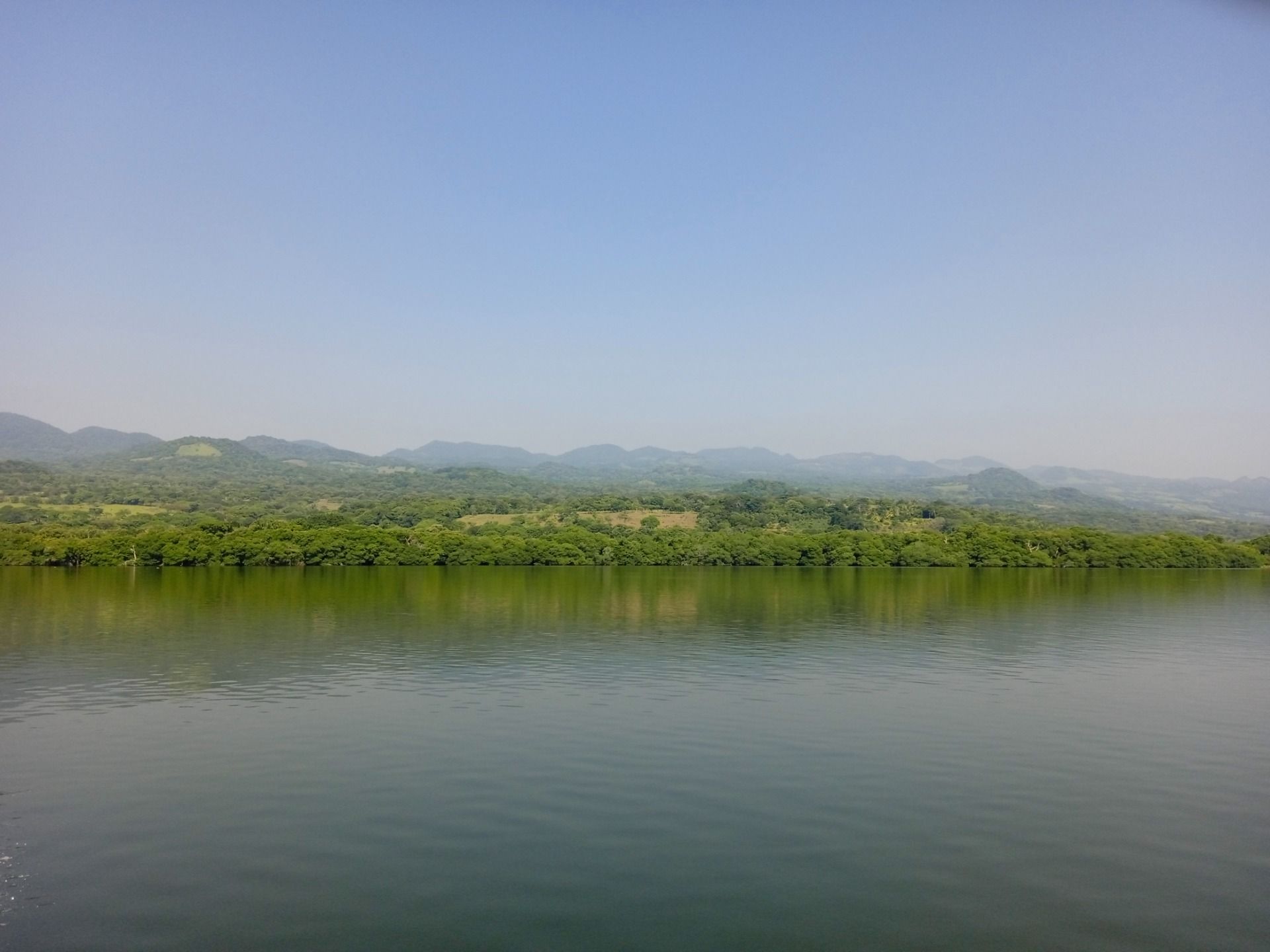 View of the shore from the lake, taken during a boat trip.