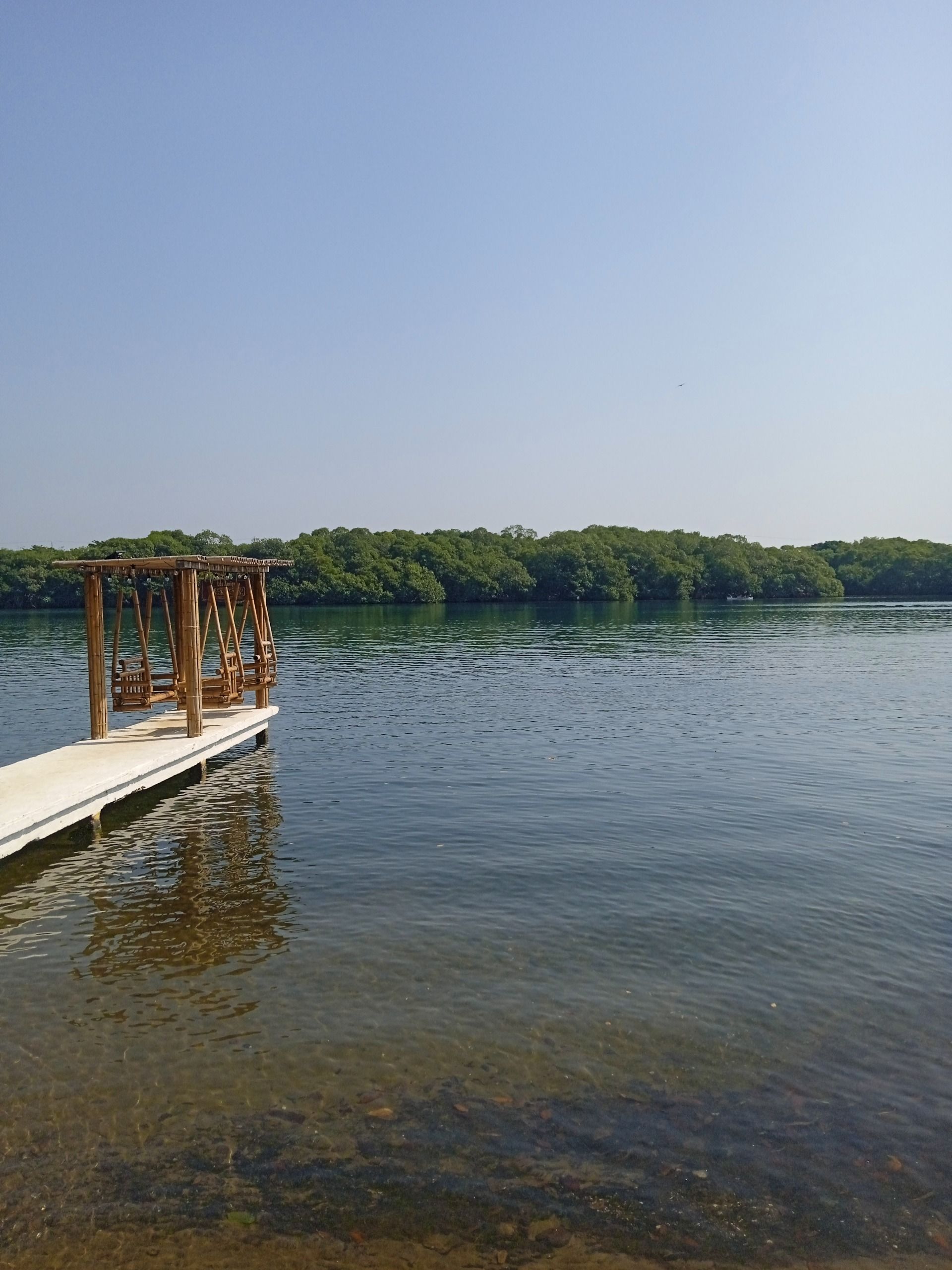 swing on a pier over the lake in ”Los Amigos”