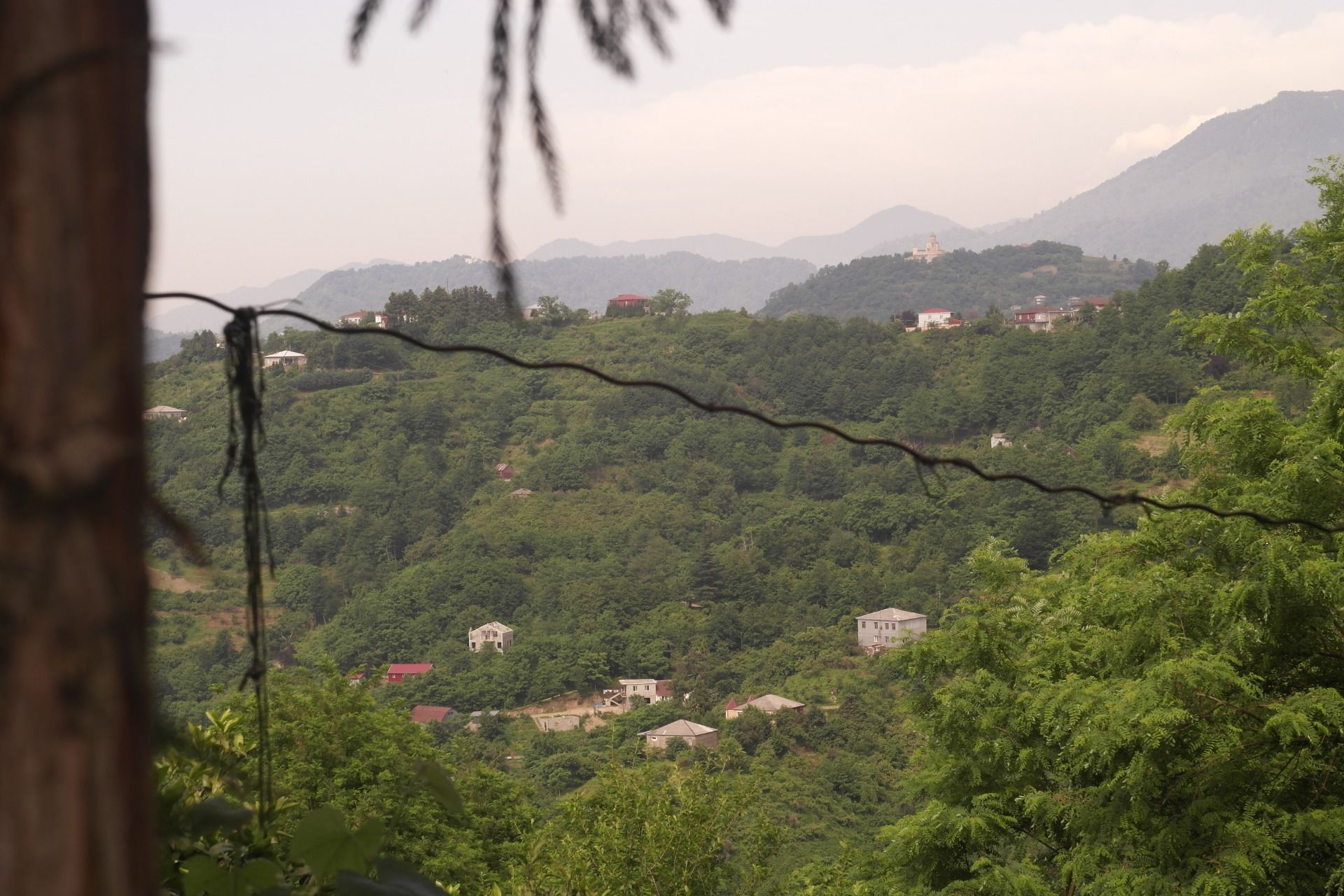 Real estate tourism and bamboo forests. [Honest Review Batumi]
