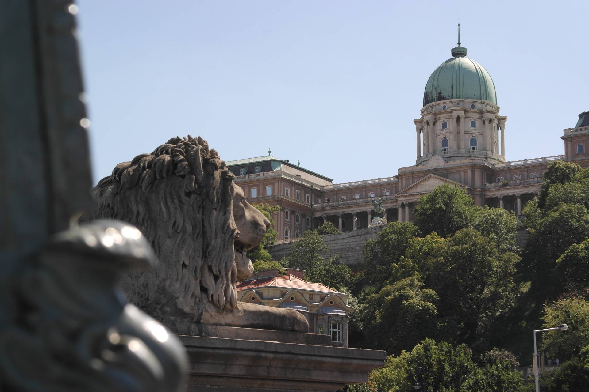 Finishing off with ever-present lions, the guardians of Budapest.