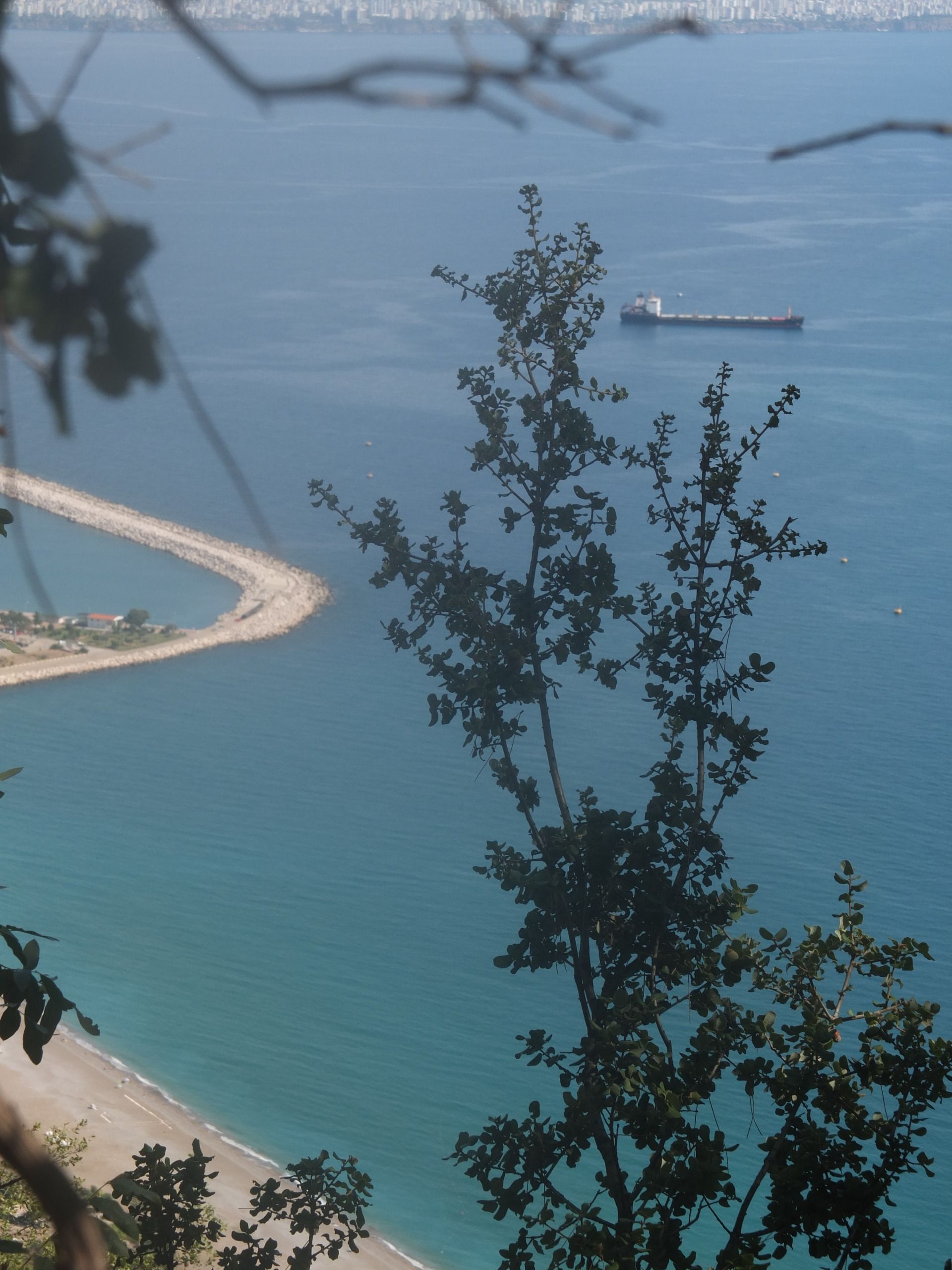 Easy hike turned dangerous climb without any backup. Antalya, Turkey.