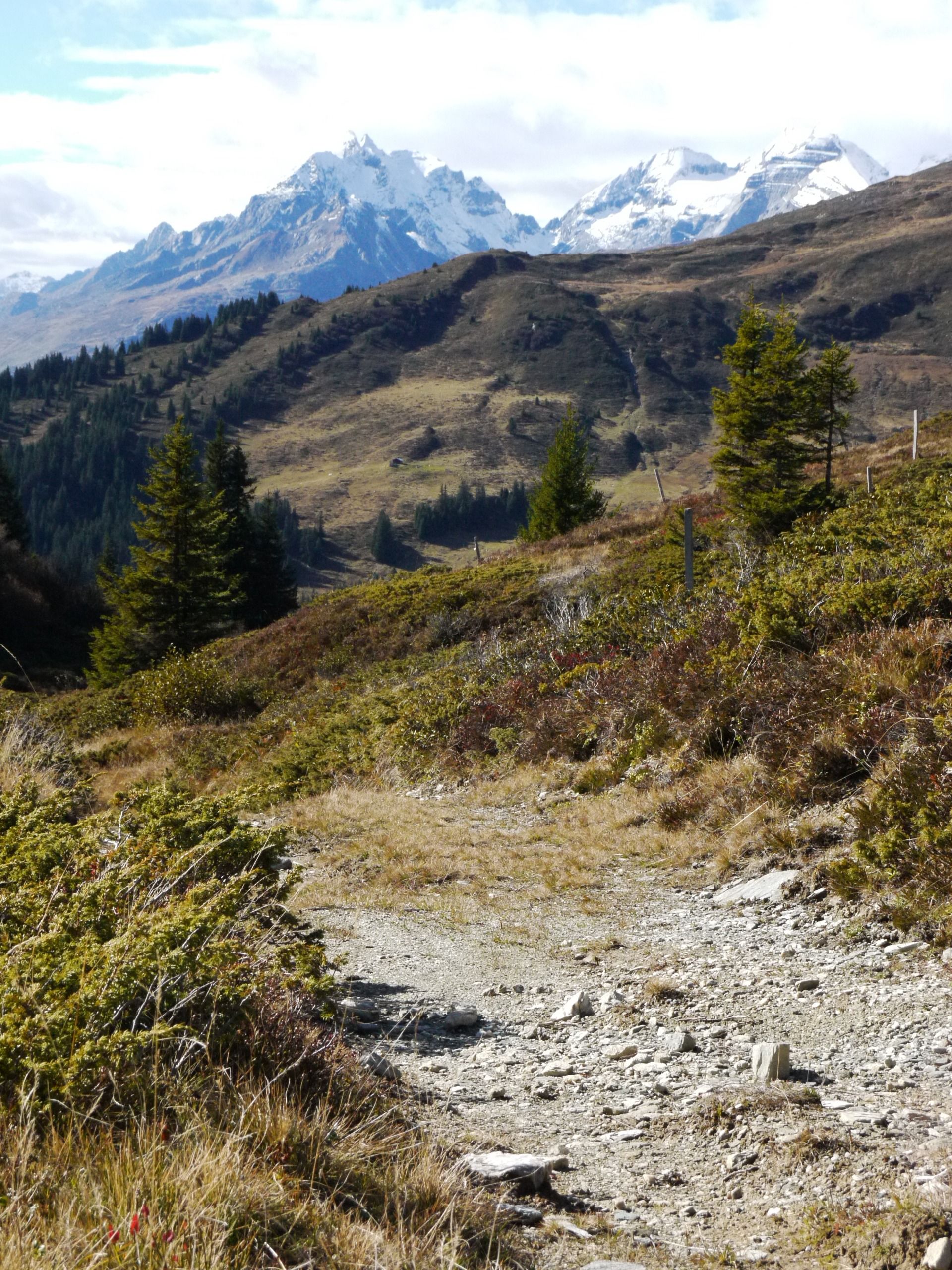 Searching for digital gold in Switzerland. LAAX stories #8