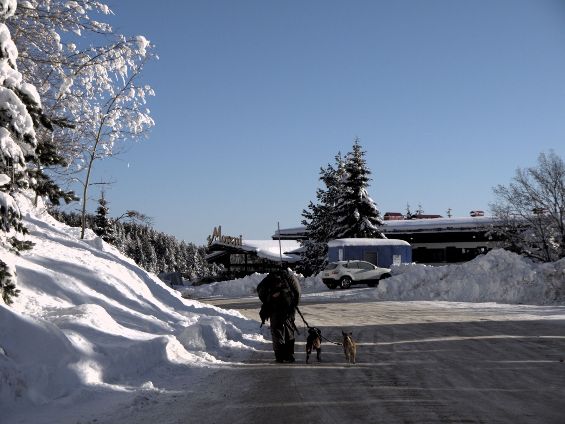 Mysterious mountain next to Bulgarian Capital. #VITOSHA