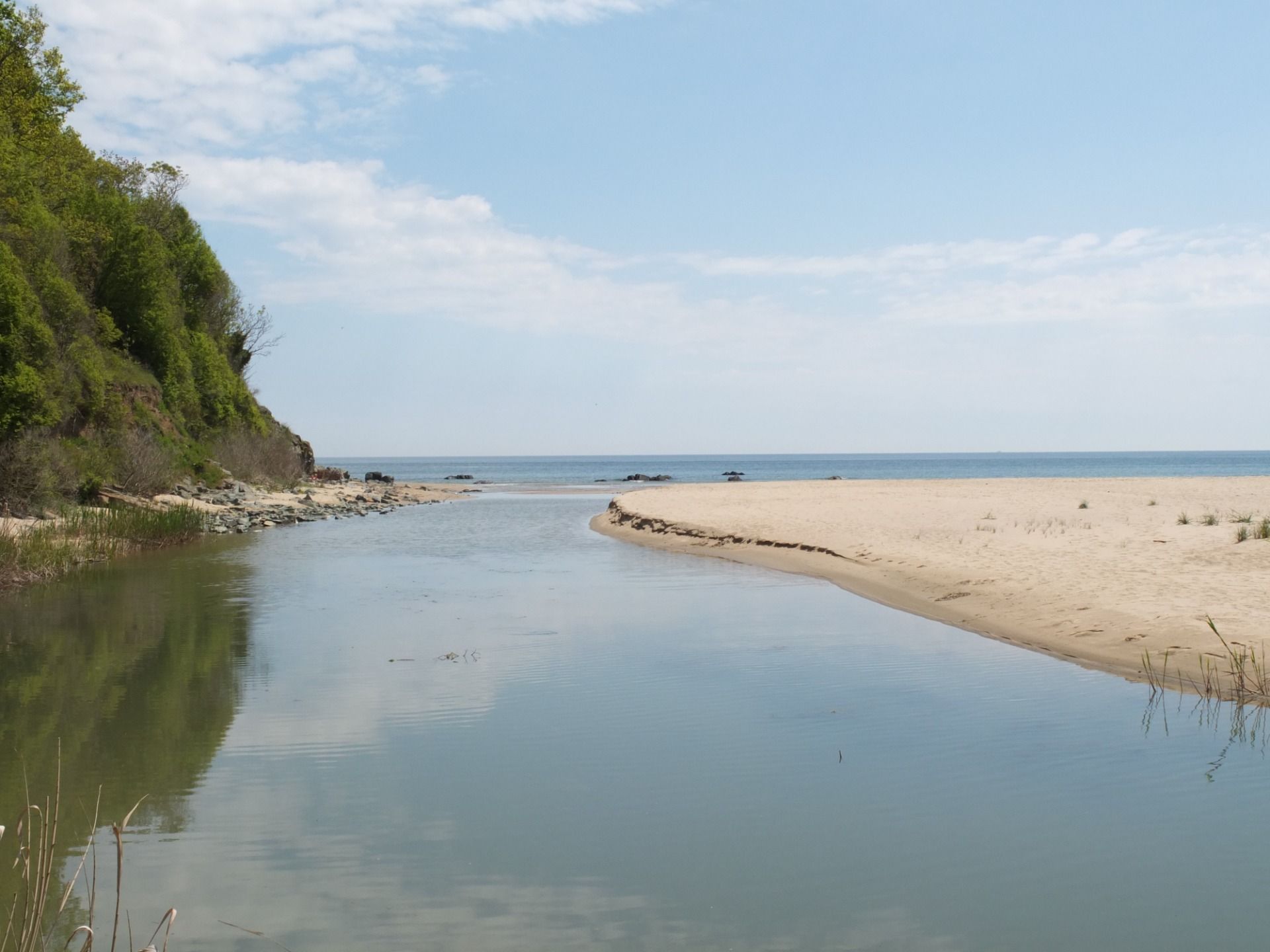 Discovering the wildlife of remote beaches in Southern Bulgaria.