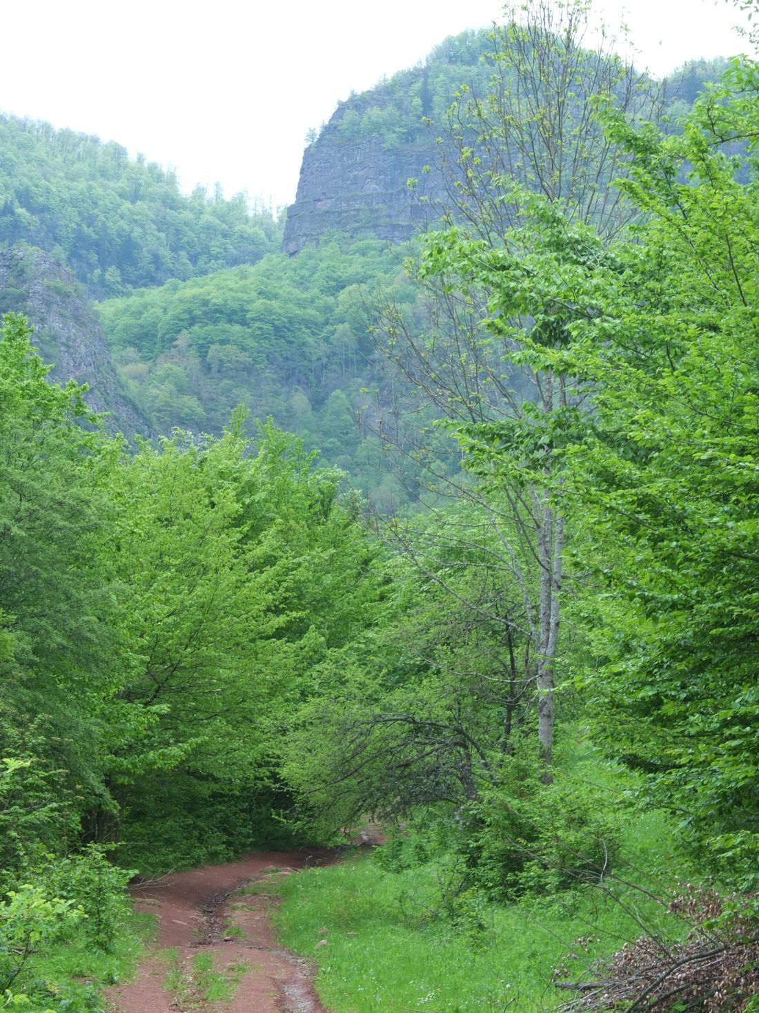 One of the ways to a waterfall where I have preferred to walk.