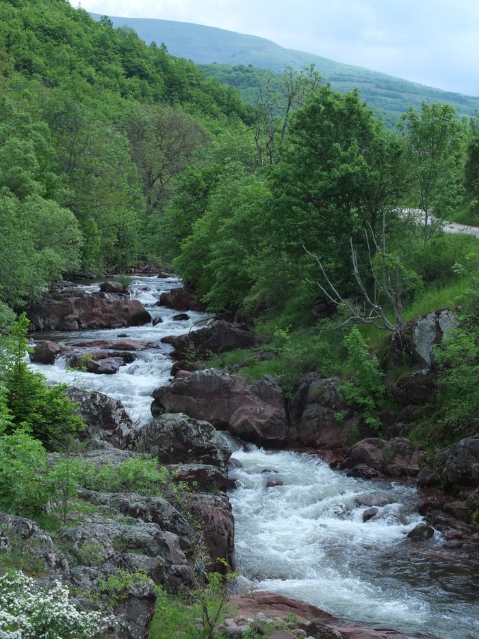 River Temstica, local source of crystal clean water.
