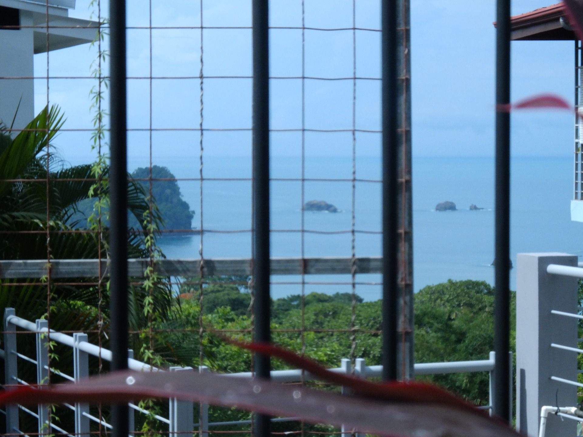 Capturing the Essence of Costa Rica at Playa Espadilla.