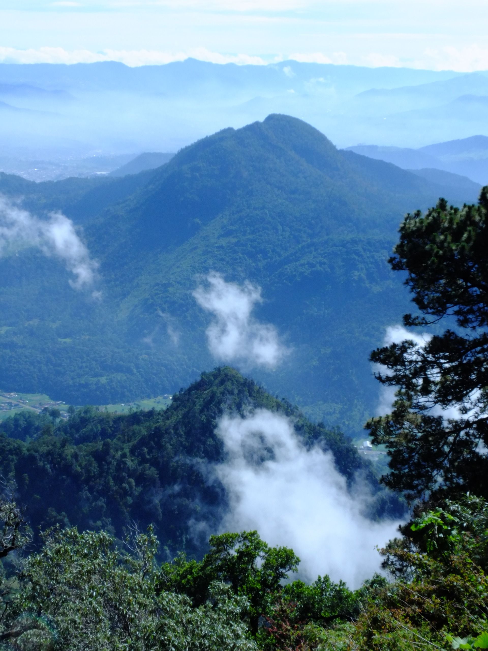 Hiking one of the biggest volcanoes in Latin America - With stray dogs!