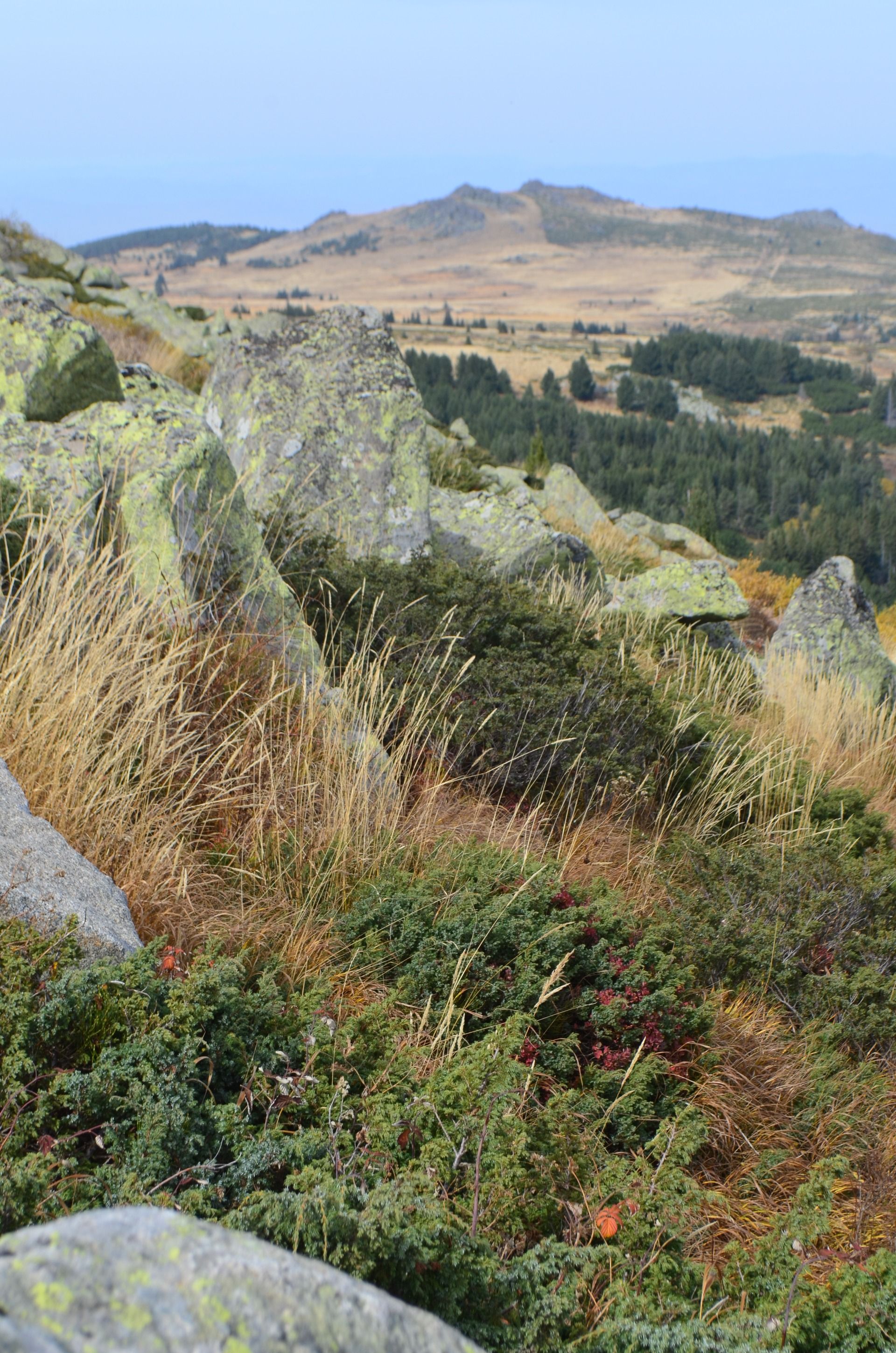 A must do in Sofia city - hike the Vitosha mountain.