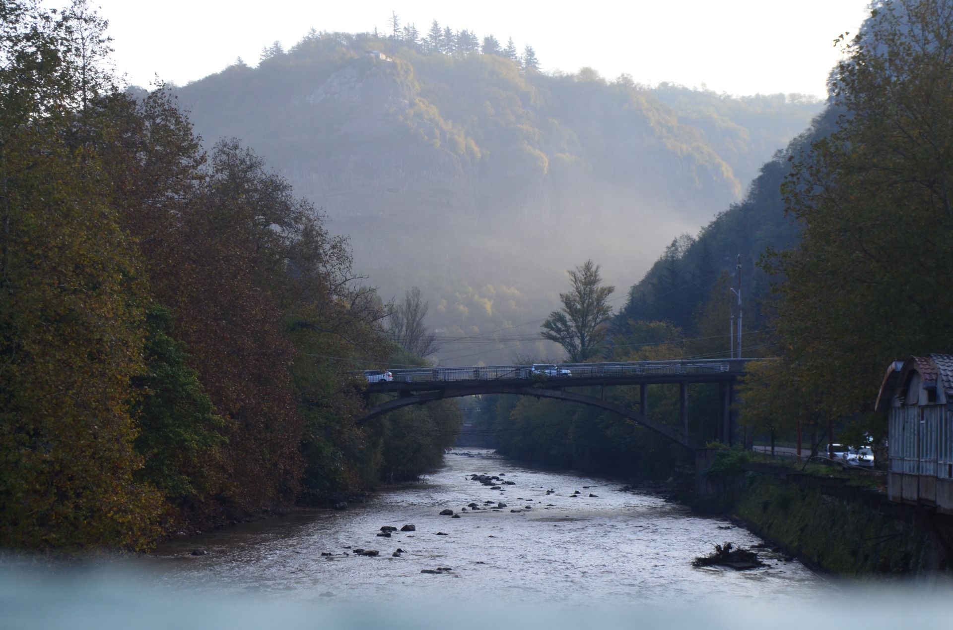 Asia - Weekly Round-Up #303