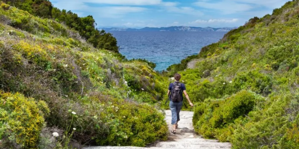 Hiking on Paxos Island: Walk Through Olive Groves, Cliffs & Hidden Bays