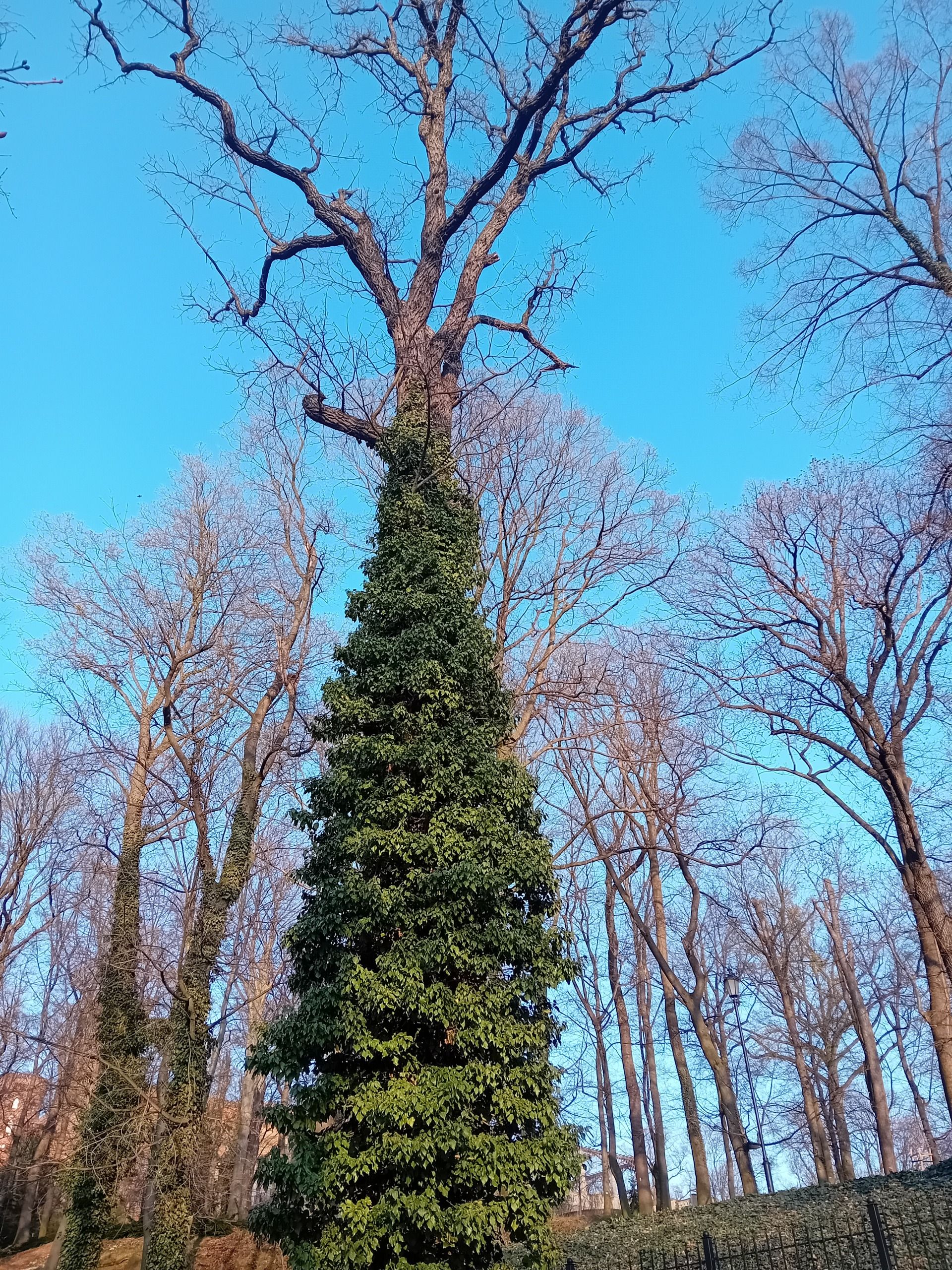 Kamieniec Ząbkowicki still beautiful half year after the flood.  Monastery and neo-gothic palace😀!