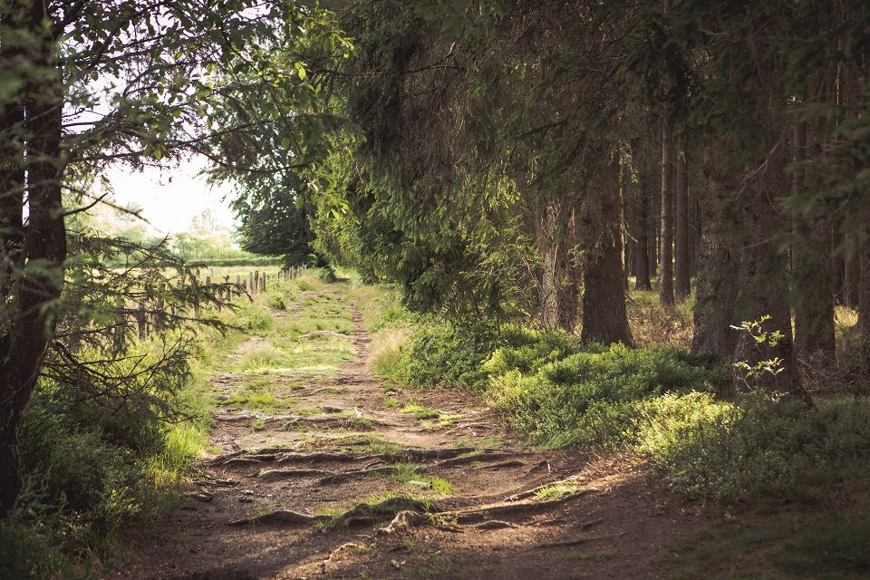 Who wouldn’t want to get lost here?