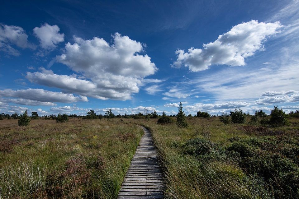 Part of the trail is this wooden walkway!