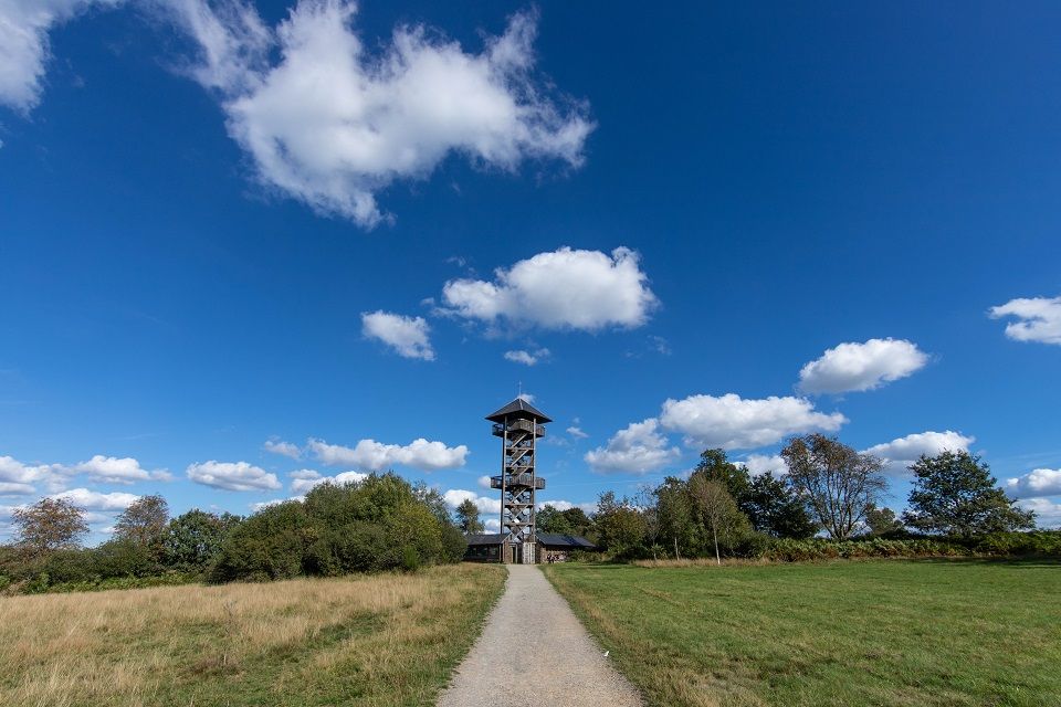 Hiking in the Belgium Ardennes part 2 "Les Haute Fagnes" nature reserve 
