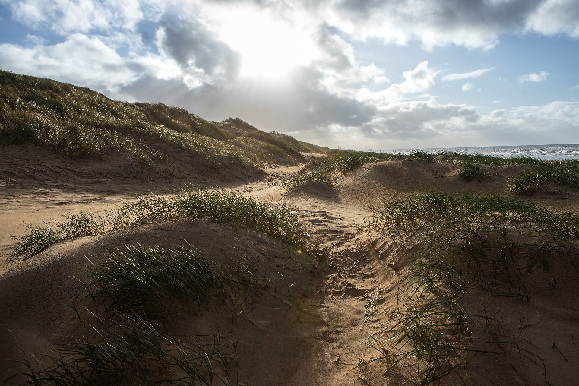 the grass keeps the sand in place