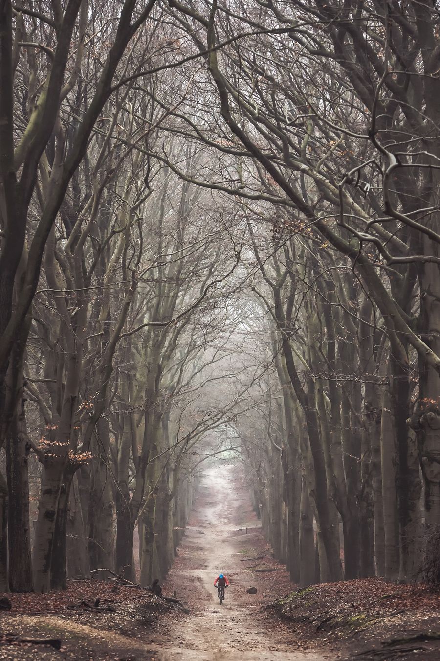 moody winter shot of the bike track