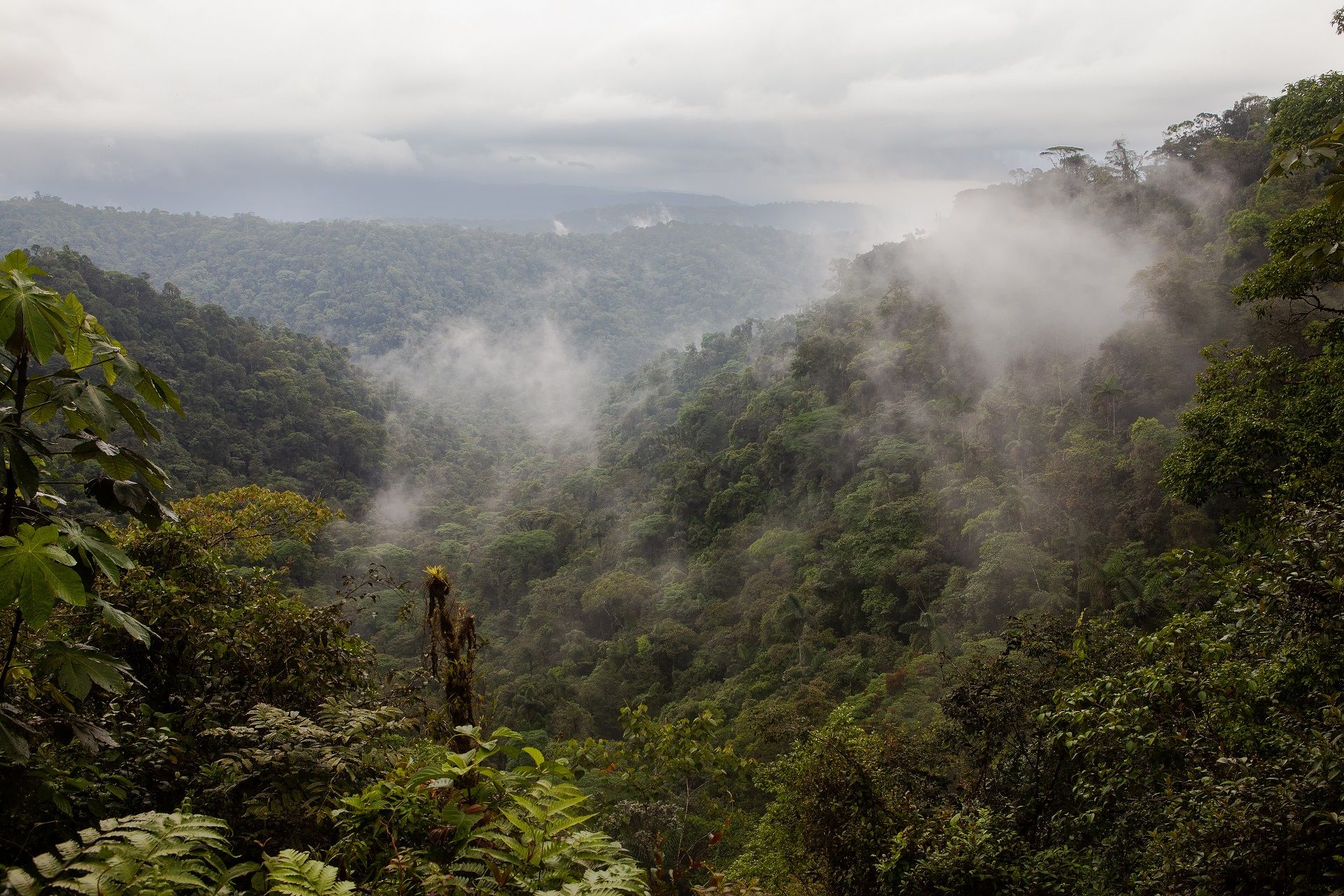 Costa Rica trough back! 