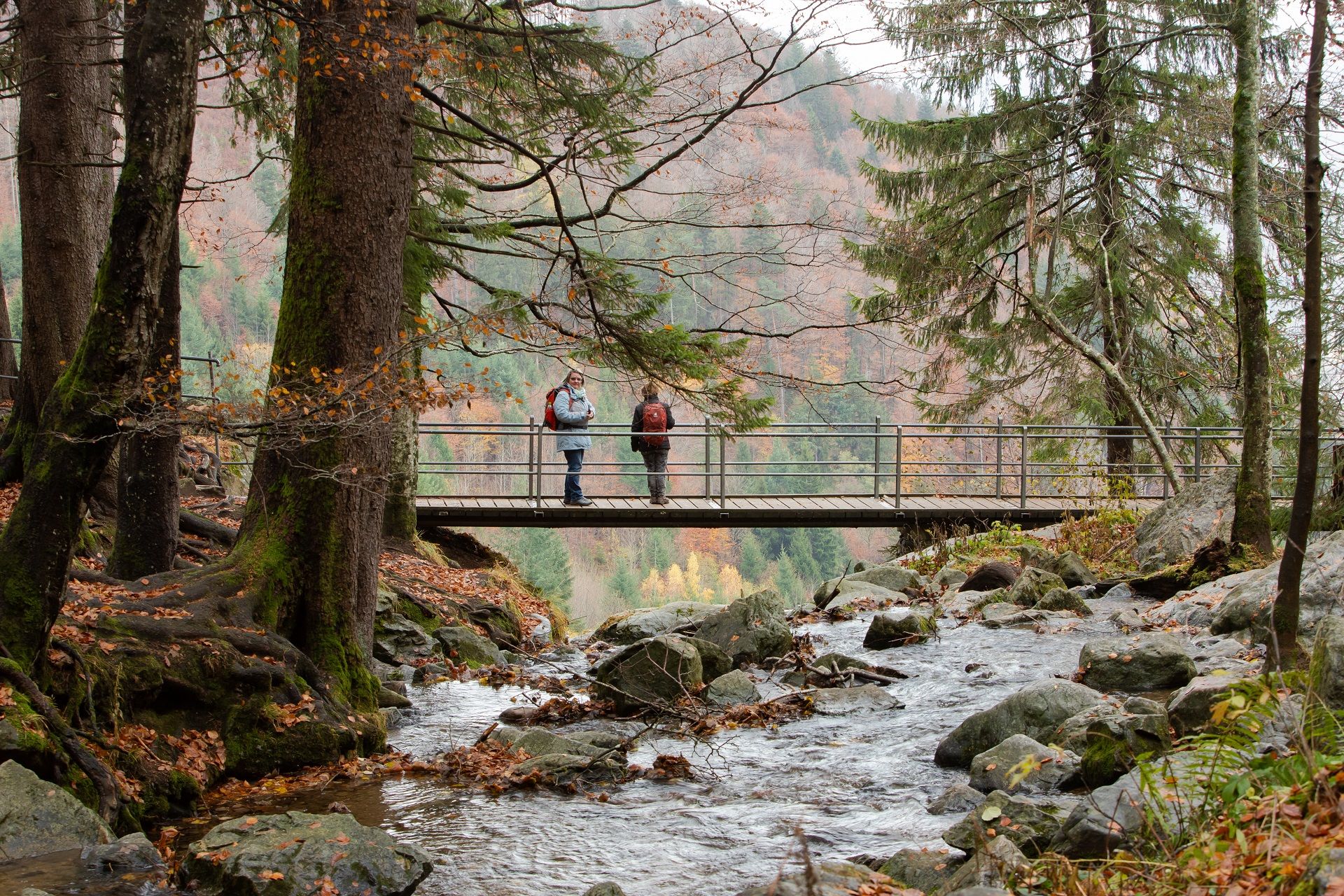 Germany black forest, part 3!