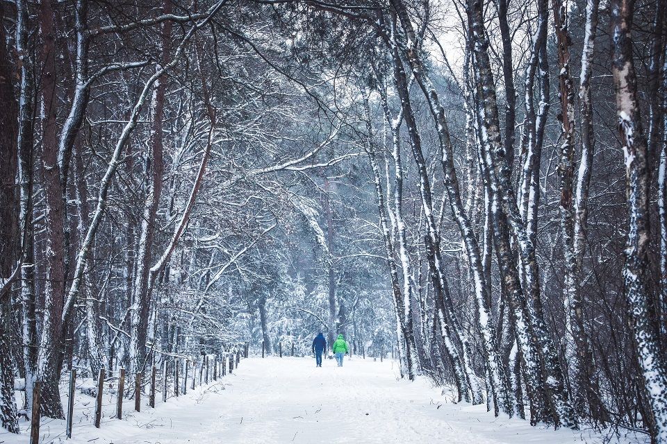 They were walking te 4,4 km route