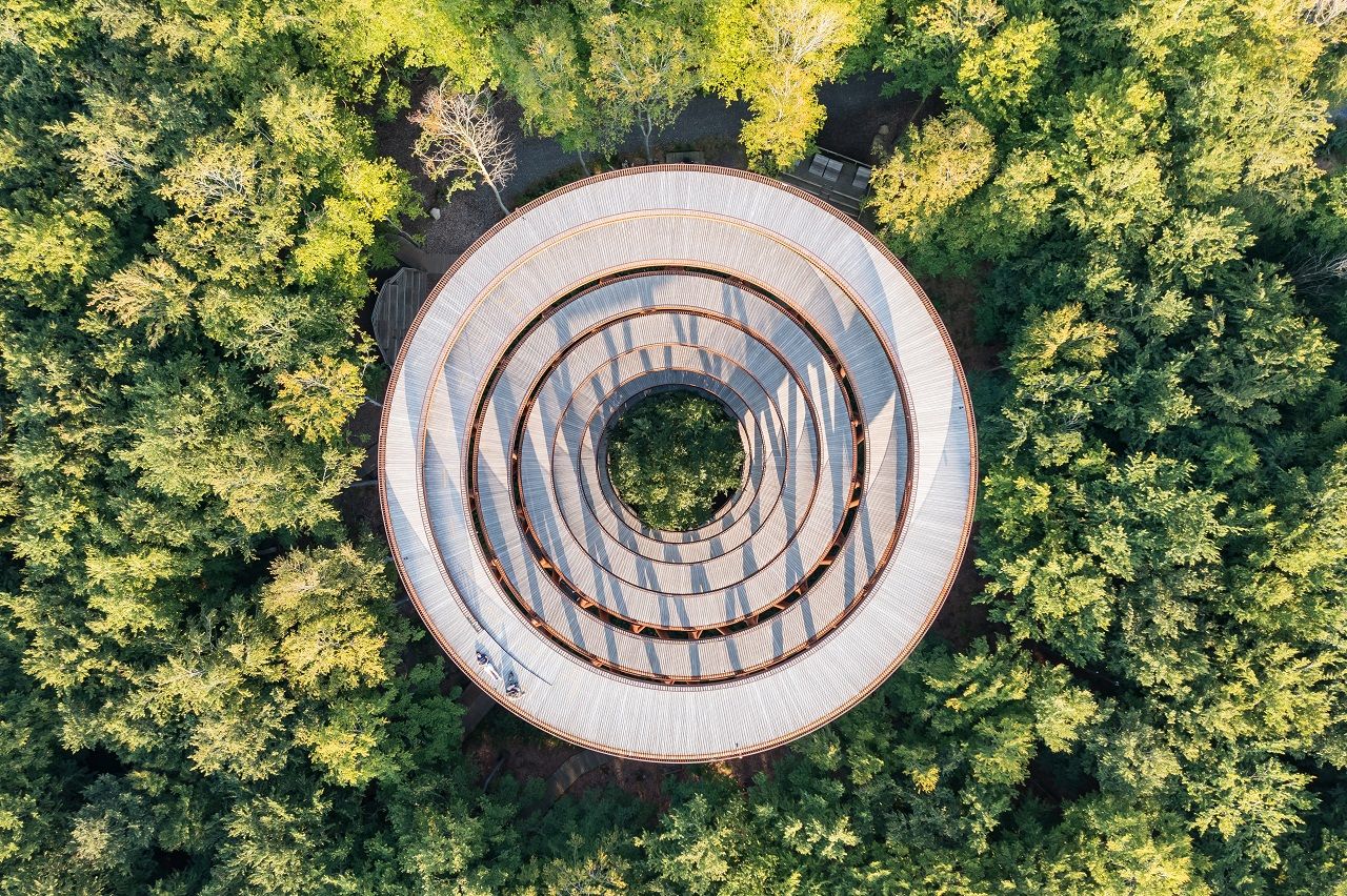 Europe - Weekly Round-Up #243