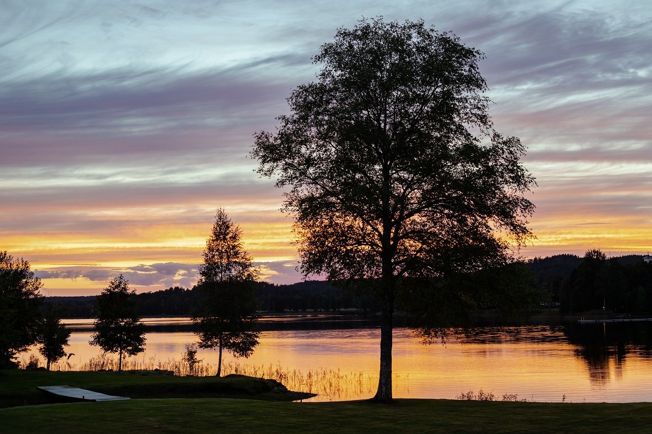 Europe - Weekly Round-Up #258