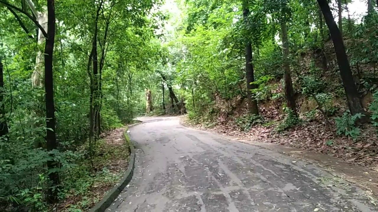 Jilapi Pahar -Green Hills with a Height of 280 Feet