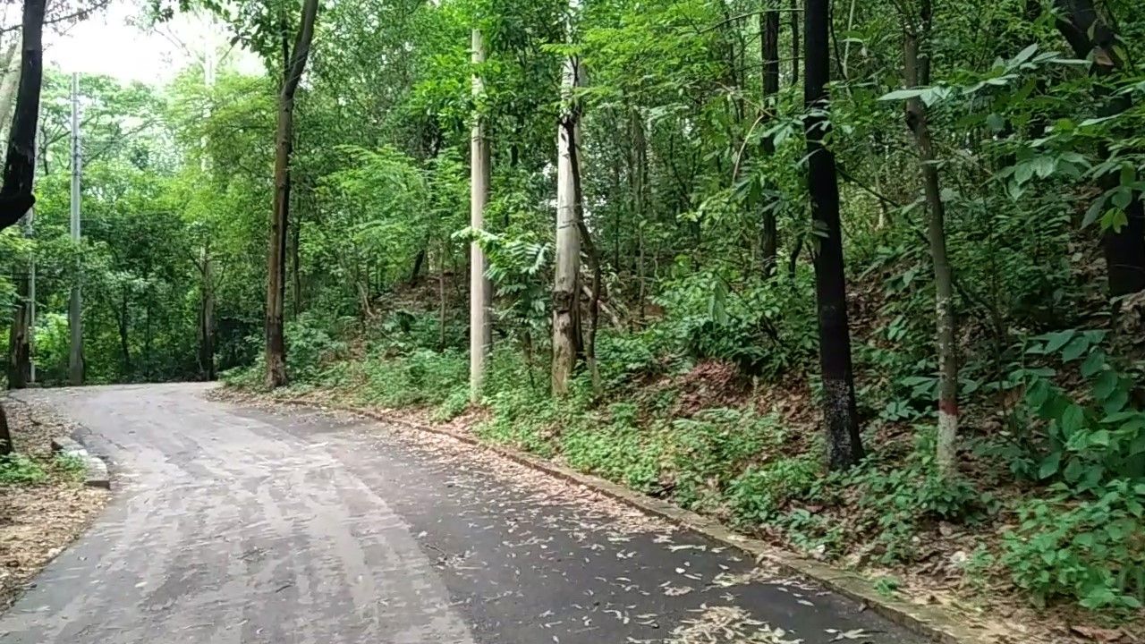 07.jpg