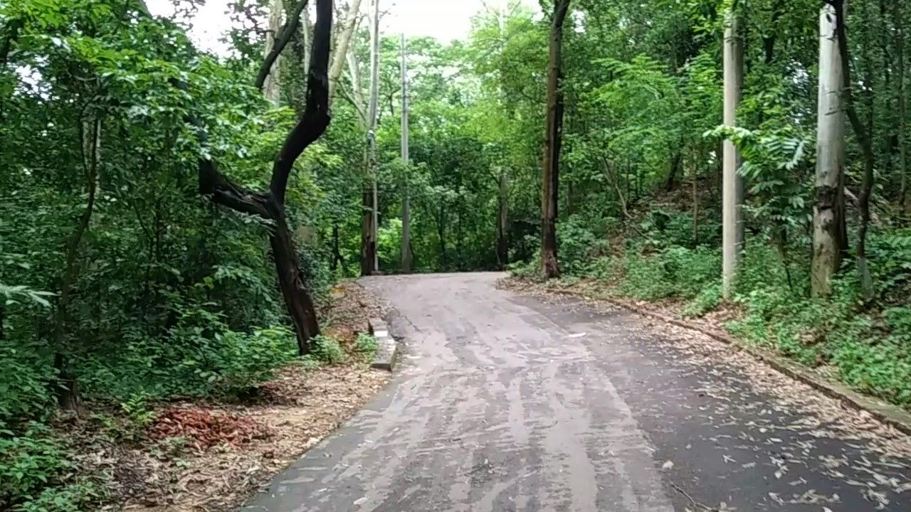 08.jpg