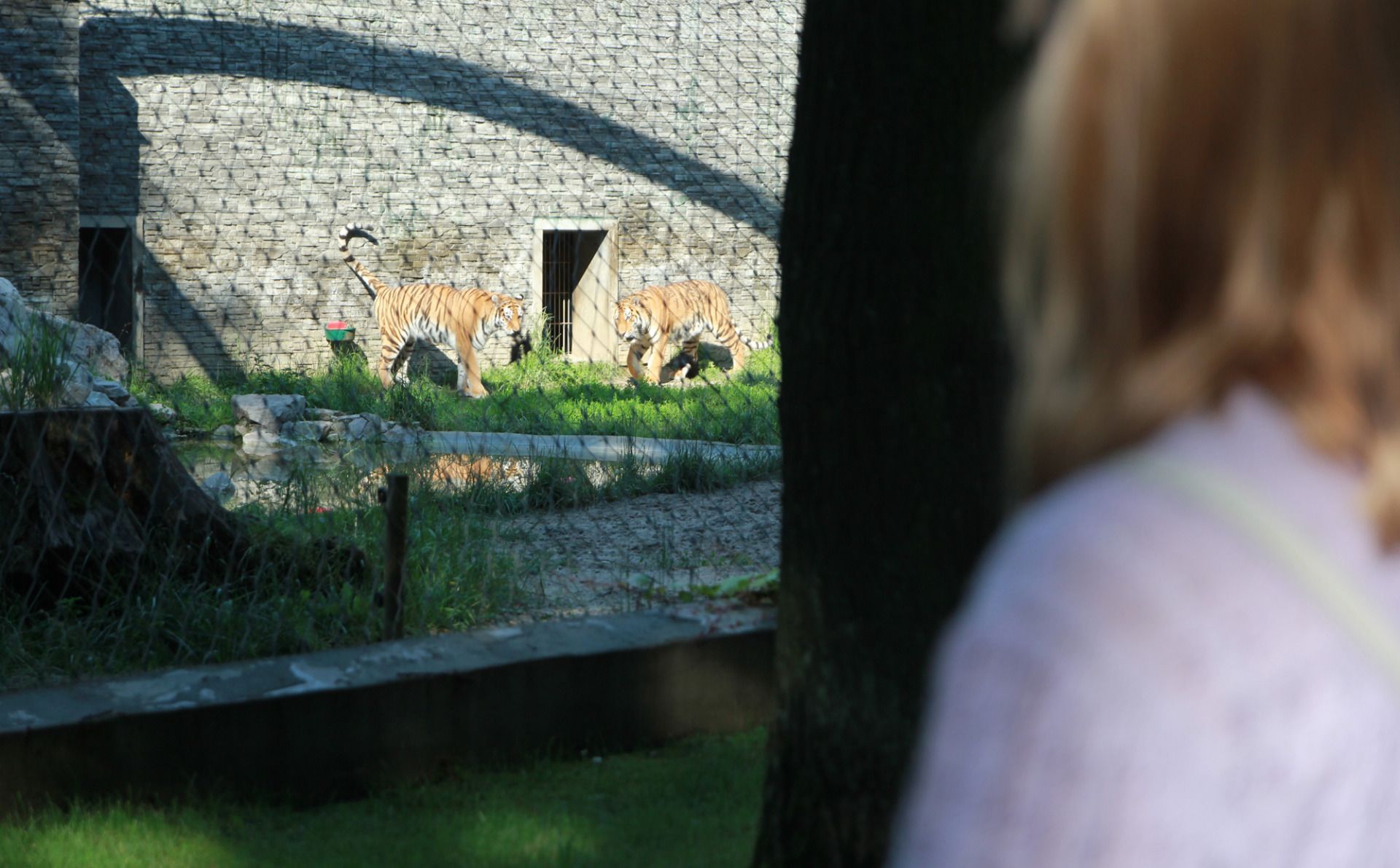 Krakowskie zoo. Część 2.