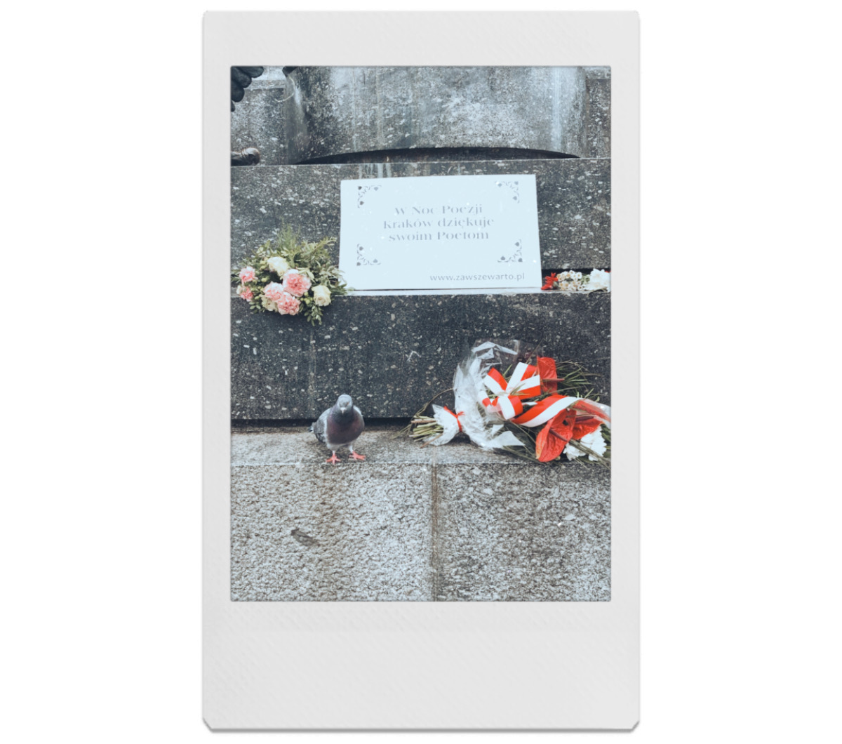 ”W Noc Poezji Kraków dziękuje swoim Poetom”