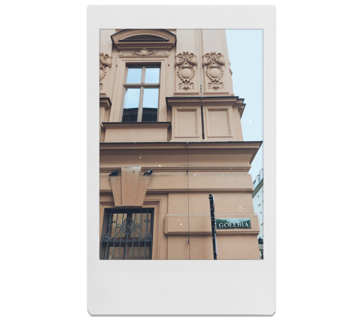 Gołębie na Gołębiej