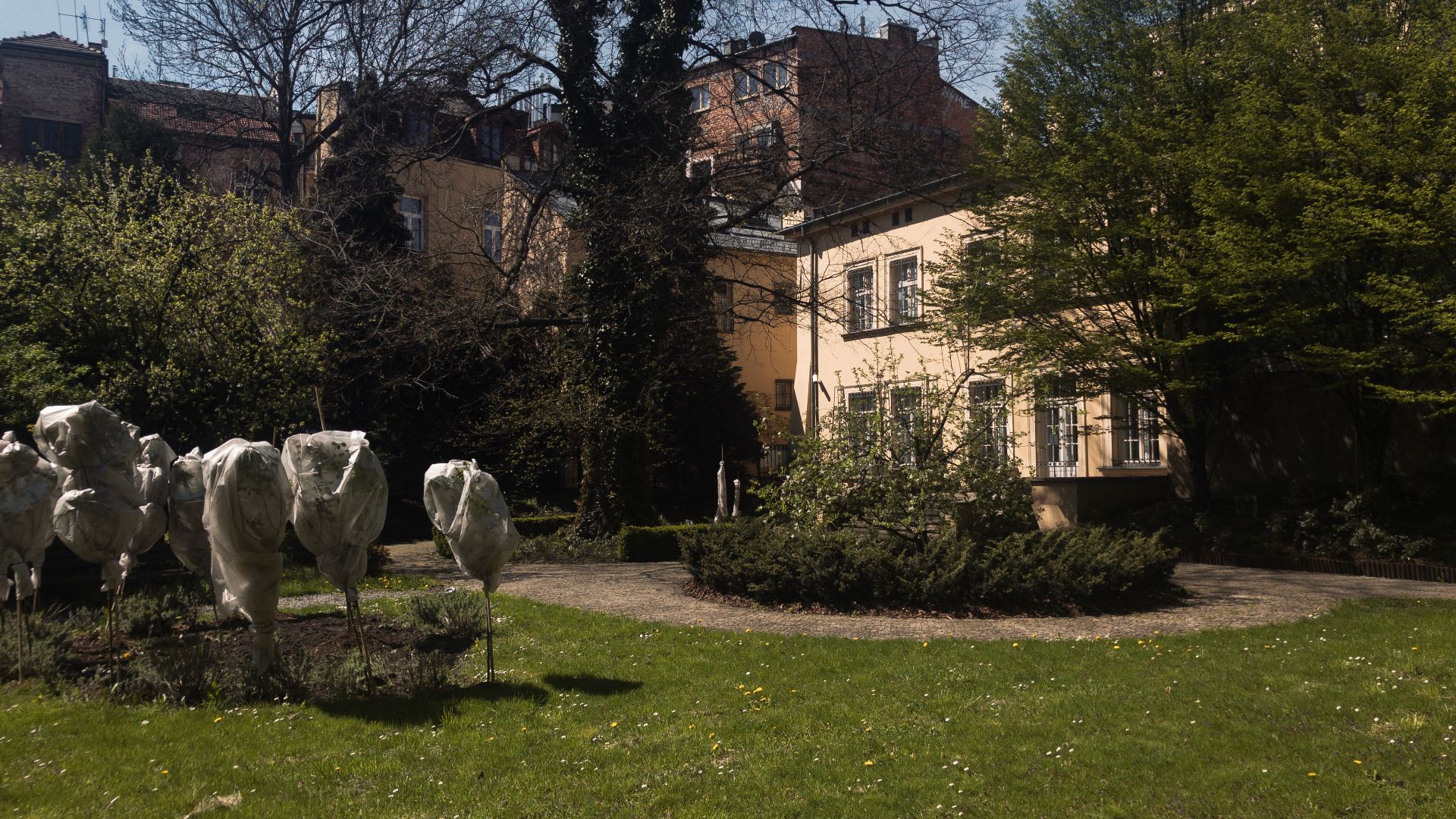 Widok na Muzeum z ogrodu / A view of the Museum from the garden