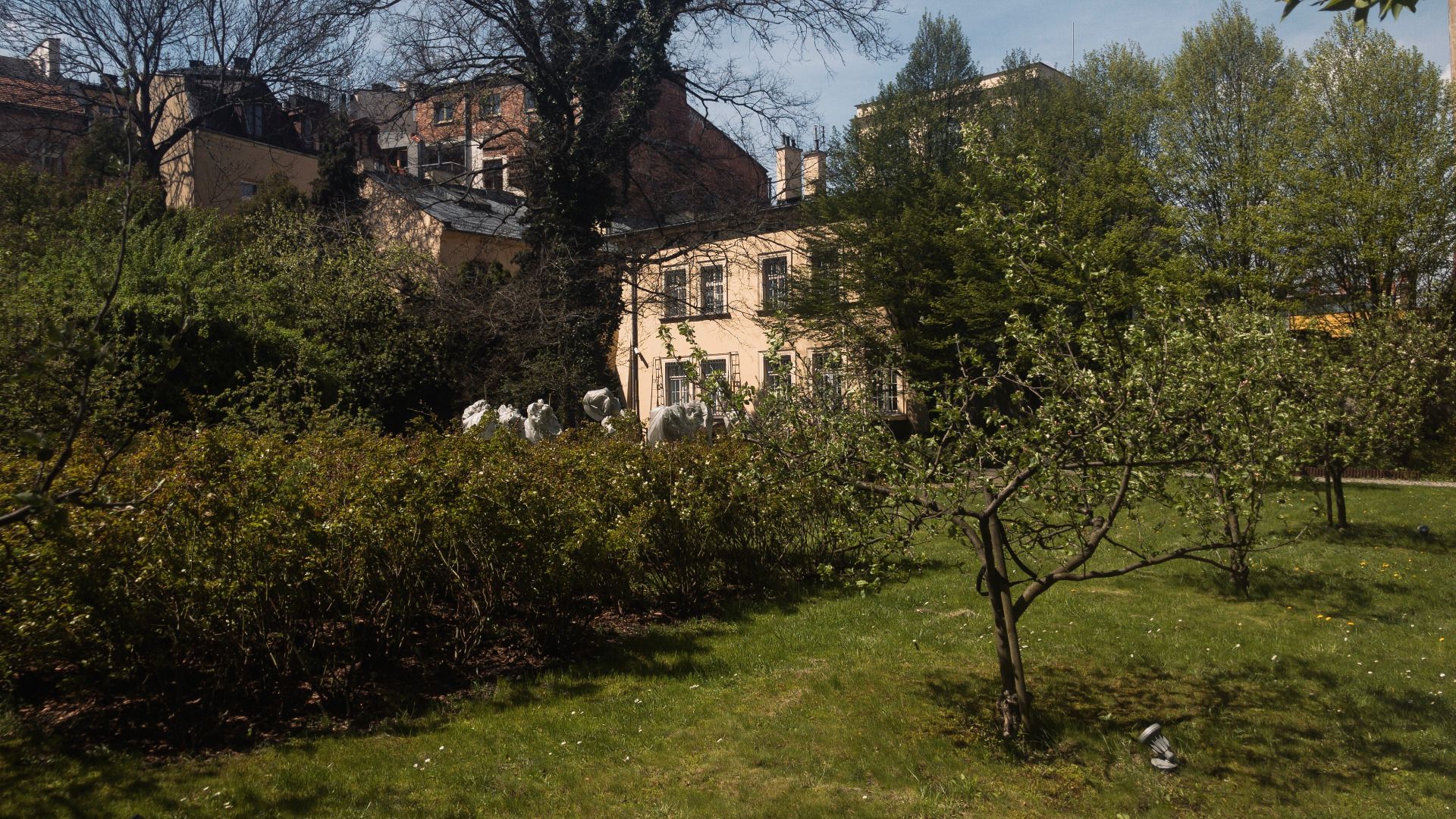 Widok na Muzeum z ogrodu / A view of the Museum from the garden