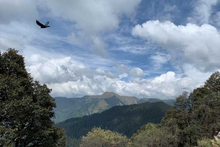 Jerry passed through Himachal straight into the little known metaphorical village