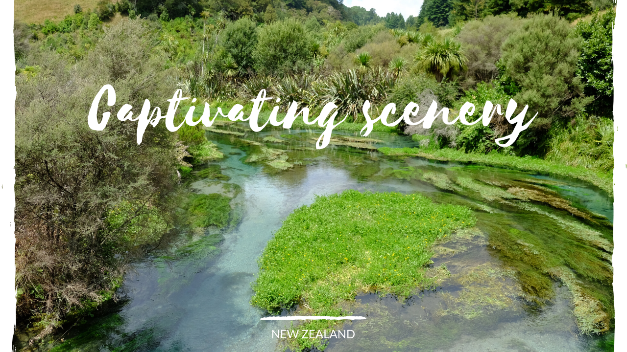 Mesmerizing landscape - A road trip through New Zealand's northern island