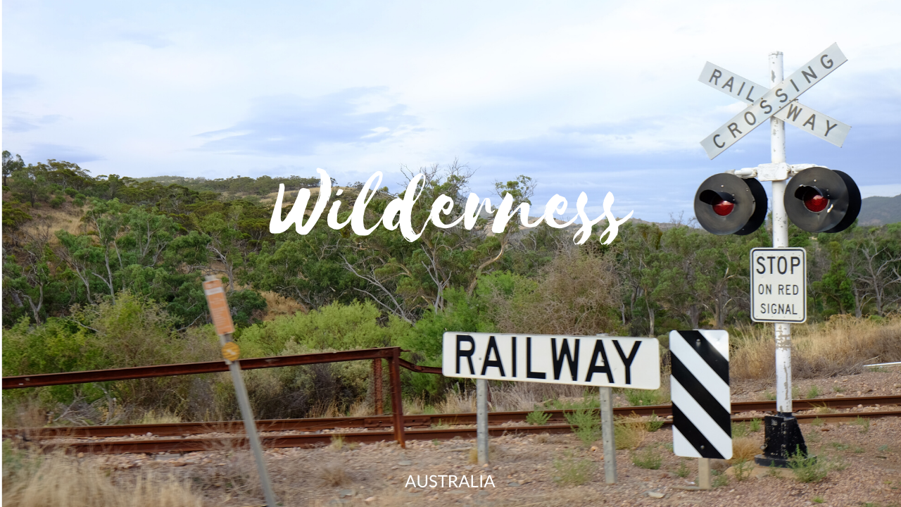 A journey to the Ikara Flinders Ranges Park