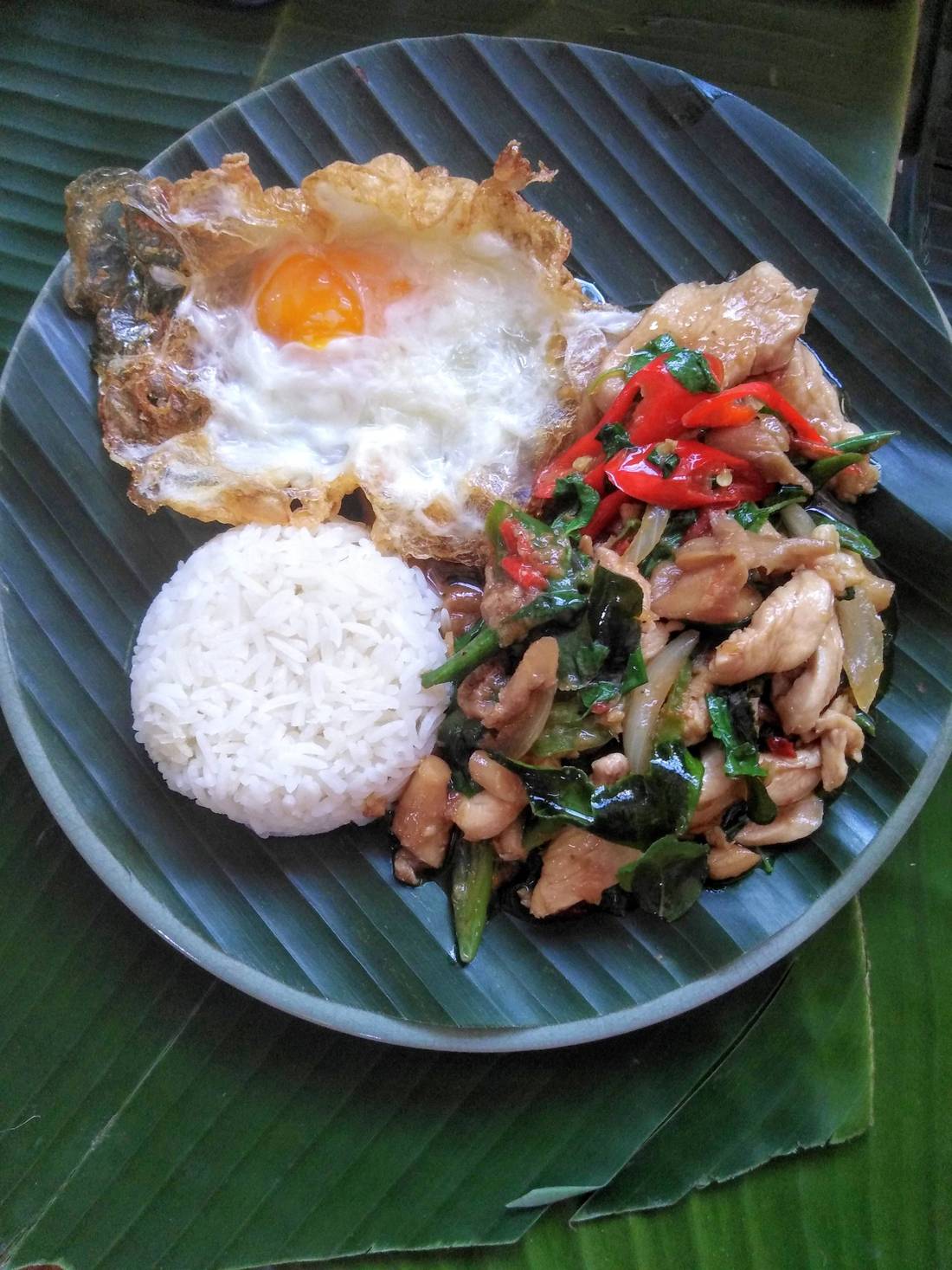 Pad Krapao: my fav Thai dish!