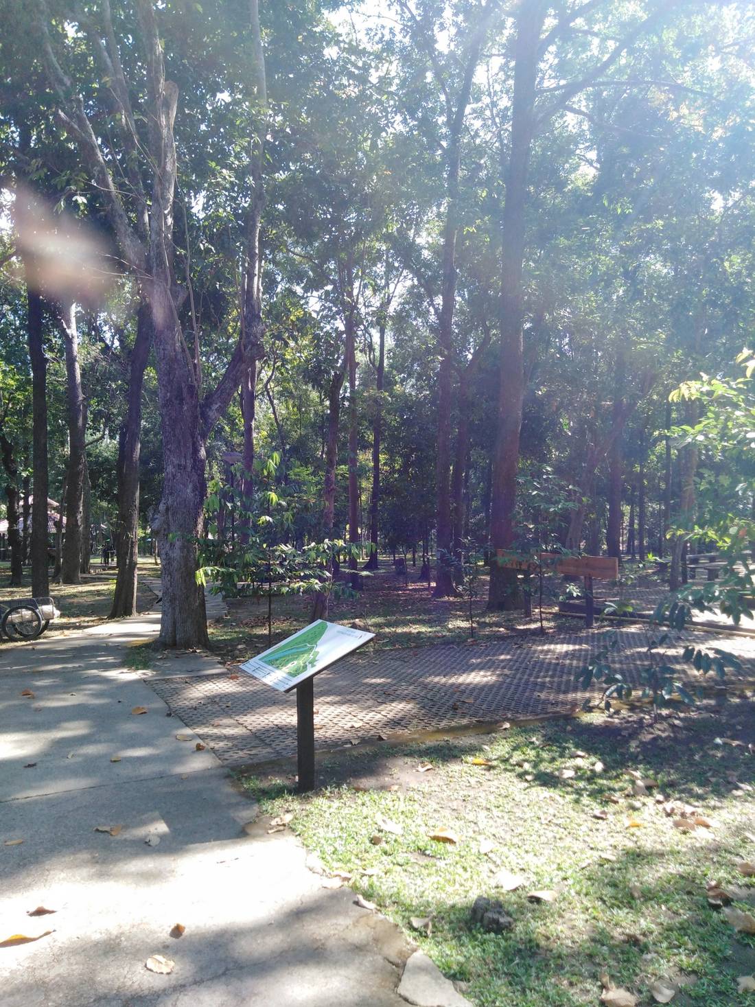 Arboretum Park: nice walk and nice coffee